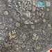 سینی مجمع برنجی قلمزنی ابراهیم در گلستان 003