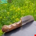 تیزی پنجه دار سلیمانی