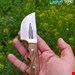 تیزی پنجه دار سلیمانی