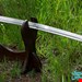 شمشیر سفارشی ساموراییMasuda Katana (Iaido)