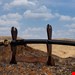 شمشیر سفارشی تیغه دمشقی Shinkai Katana